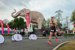 BIB: 
                            <button type="button" onclick="openModal(26528697)" class="btn btn-primary btn-sm float-right btn-popup" data-toggle="modal" data-target=".modal-high-quality">
                        <i class="fas fa-shopping-cart"></i> Add to Cart
                    </button>
                                            <button type="button" onclick="isThisMe(26528697, true)" class="btn btn-success btn-sm float-right btn-popup btn-isme hidden" data-toggle="tooltip" data-placement="bottom" title="นี่คือรูปของคุณใช่ไหม คลิกที่นี่เพื่อเอาเข้าอัลบั้ม">
                        <i class="fas fa-plus"></i> Add to album
                    </button>
                    <button type="button" onclick="isThisMe(26528697, false)" class="btn btn-warning btn-sm float-right btn-popup btn-isnotme hidden">
                        <i class="fas fa-ban"></i> Remove from album
                    </button>